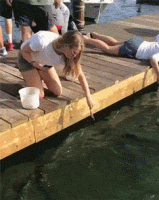 2626404-16.gif