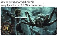 85775966.jpg