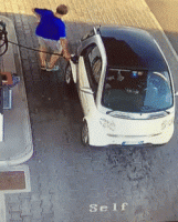 rewardingseveralhound-size_restricted.gif