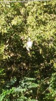 20180928_163043.jpg