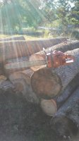 20180928_173021.jpg 20180928_173021.jpg