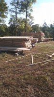 20180929_164226.jpg