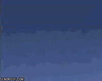 9AE46F14-A951-4B80-B73A-5C4F9733CADE.gif