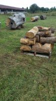 20181002_115744.jpg