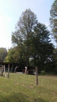 20180919_133026.jpg 20180919_133026.jpg