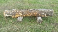 20181003_105150.jpg