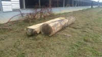 20181003_105116.jpg