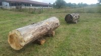 20181003_105402.jpg