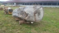 20181003_105356.jpg