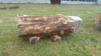 20181003_105341.jpg