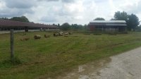 20181003_105245.jpg