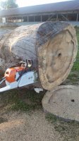 20181004_174941.jpg