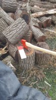 20181008_103849.jpg