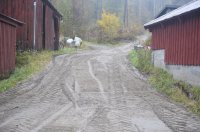 _DSC5110.jpg