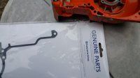 20181008_153813.jpg