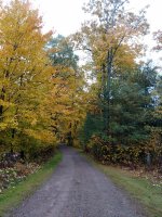 IMG_20181010_163048544.jpg