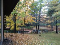 IMG_20181011_074314499.jpg