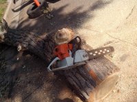 IMG_20160802_151437.jpg