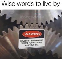 370E28A1-8E52-4AF2-AF65-E79B8F3AD585.jpeg