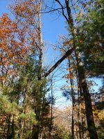 IMG_20181022_125308343.jpg