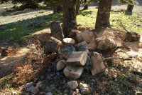 DSC03647.JPG