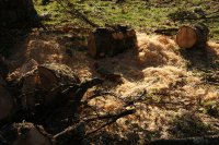 DSC03648.JPG