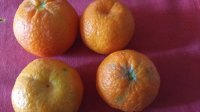 IMG-20181029-WA0000.jpeg