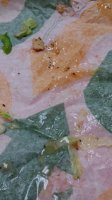 20181029_094830.jpg