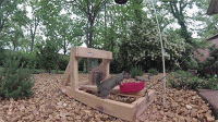 95445370-947A-4183-B6EC-FED58F524FFA.gif