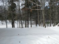 IMG_20181110_102955003.jpg