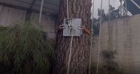 DIY Bollard for Trees.JPG