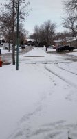Driveway.jpg