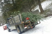 2015-12-24 13.21.23.jpg