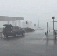 FBED32F9-67E8-4AE4-A277-DA5766A1BF09.gif