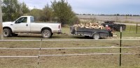 little Trailer 2.jpg