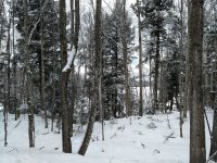 IMG_20181119_103317955.jpg