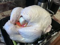 IMG_4298.jpeg