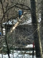 IMG_20181123_142304261_HDR.jpg