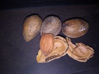 IMG_20181124_213615.jpg