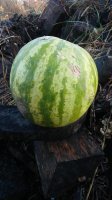 20181125_094016.jpg