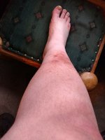 IMG_20181125_135339266.jpg