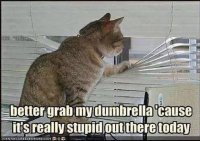 AE971F7A-7AE7-4476-8AC2-CA6A48ADFC77.jpeg