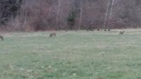 20181128_164754.jpg