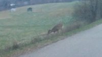 20181128_164734.jpg
