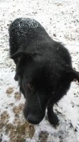 20181205_135826.jpg