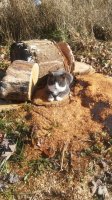 20181207_130701.jpg