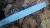 20181210_074447.jpg