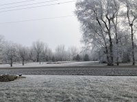 9E8EC823-F4C9-445E-AA6D-1663A9EBE476.jpeg