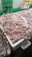 IMG-20181221-WA0092.jpeg