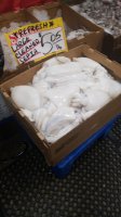 IMG-20181221-WA0091.jpeg